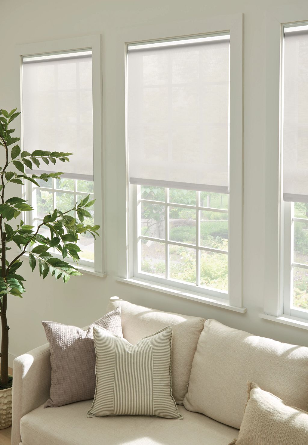 Solar Roller Shades